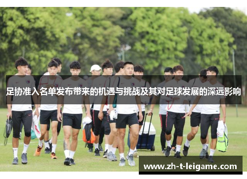 足协准入名单发布带来的机遇与挑战及其对足球发展的深远影响