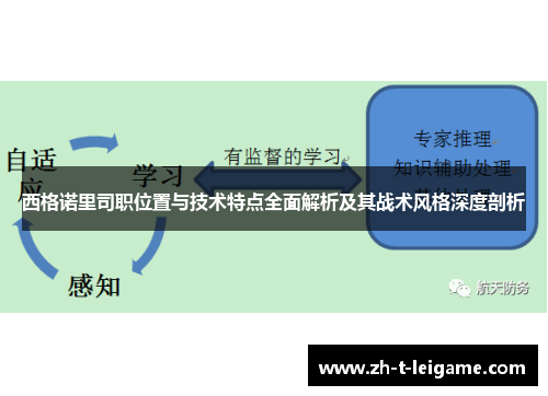 西格诺里司职位置与技术特点全面解析及其战术风格深度剖析